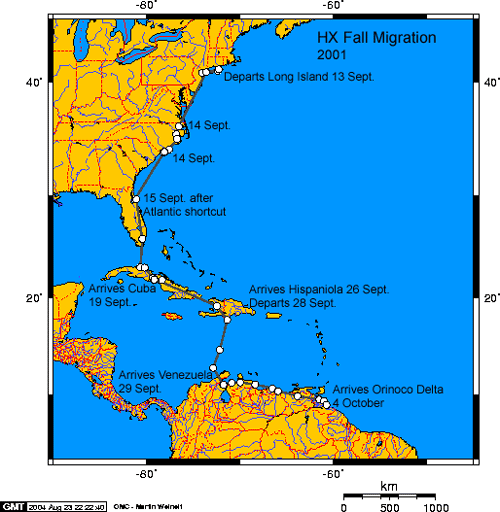 osprey migration tracking