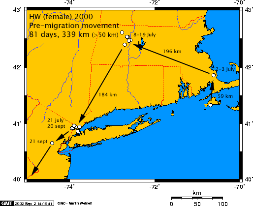 osprey migration tracking